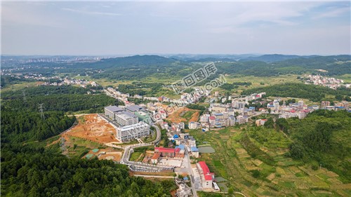 乐荷村，乐居田与荷叶合并