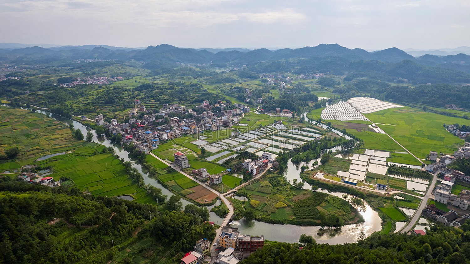 乐荷村，乐居田与荷叶合并