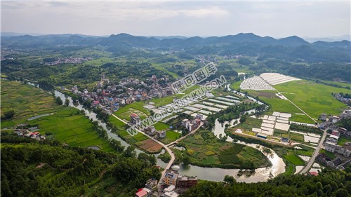 乐荷村，乐居田与荷叶合并