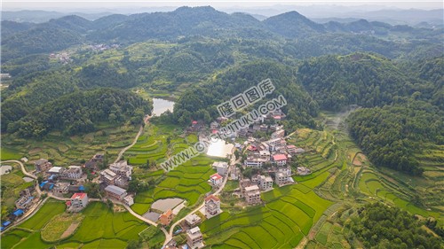乐荷村，乐居田与荷叶合并
