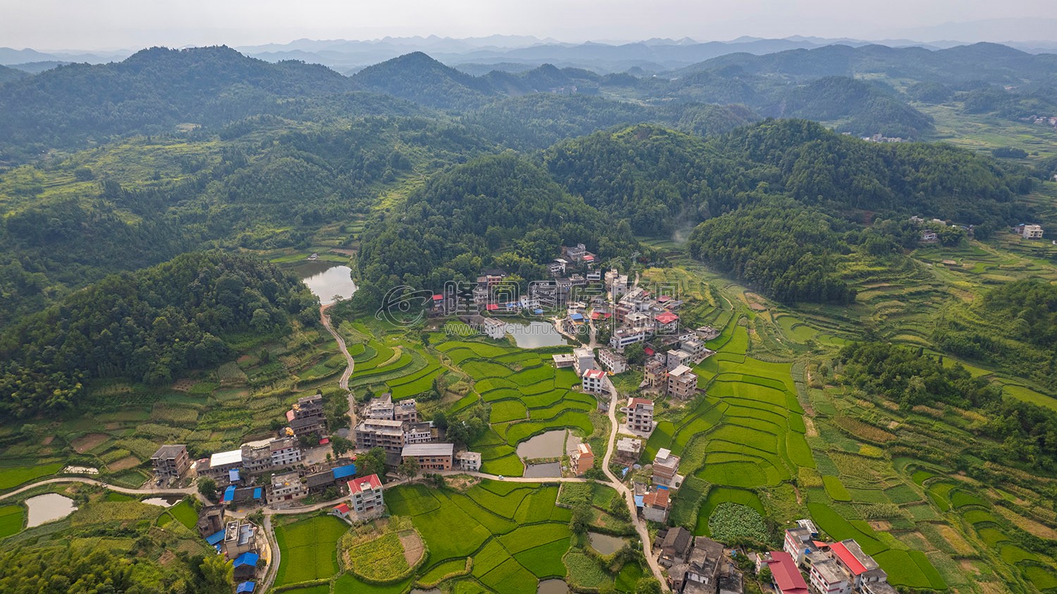 乐荷村，乐居田与荷叶合并