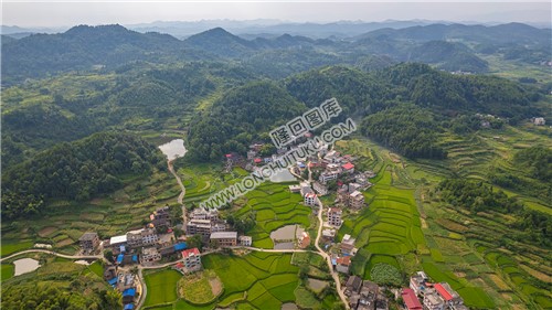 乐荷村，乐居田与荷叶合并
