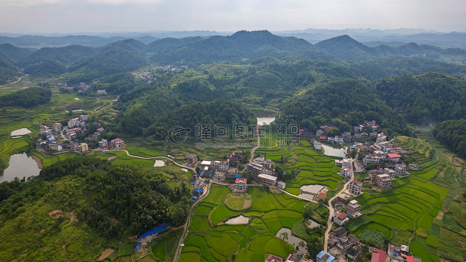 乐荷村，乐居田与荷叶合并
