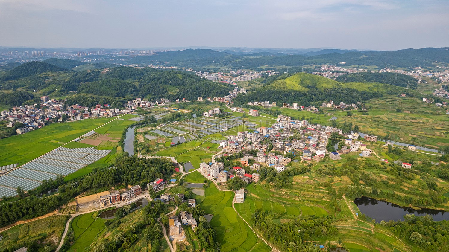 乐荷村，乐居田与荷叶合并