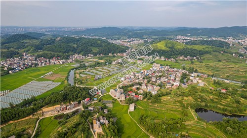 乐荷村，乐居田与荷叶合并