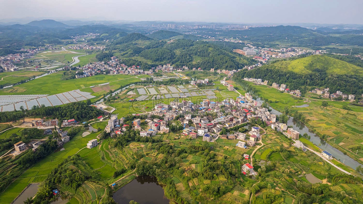 乐荷村，乐居田与荷叶合并