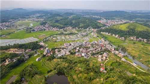 乐荷村，乐居田与荷叶合并