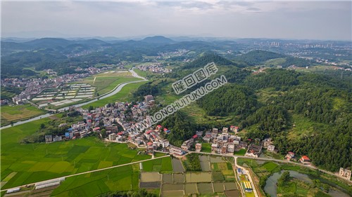 乐荷村，乐居田与荷叶合并