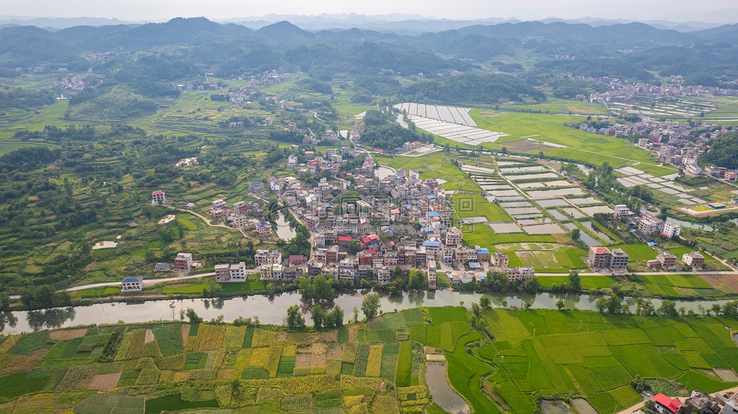 乐荷村，乐居田与荷叶合并