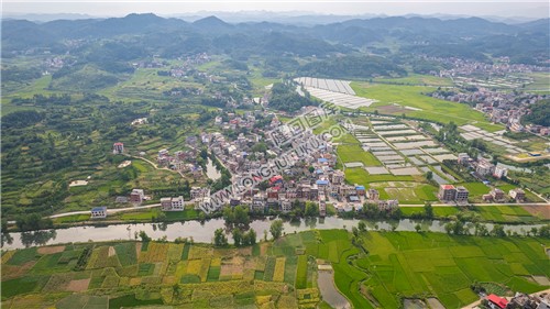乐荷村，乐居田与荷叶合并