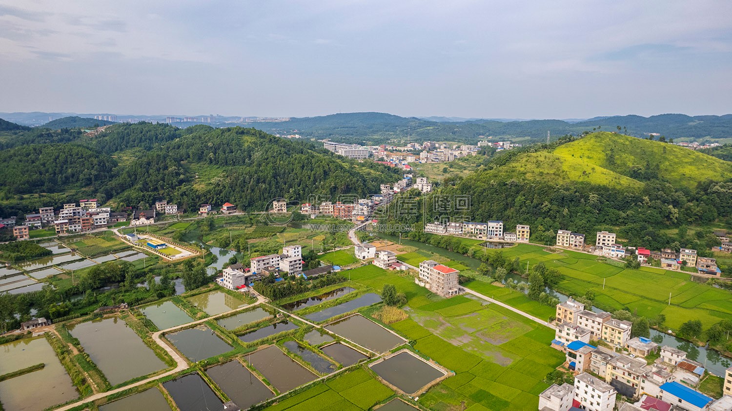 乐荷村，乐居田与荷叶合并
