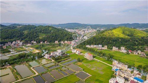 乐荷村，乐居田与荷叶合并