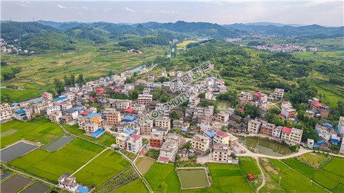 乐荷村，乐居田与荷叶合并