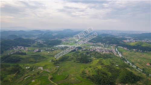 乐荷村，乐居田与荷叶合并