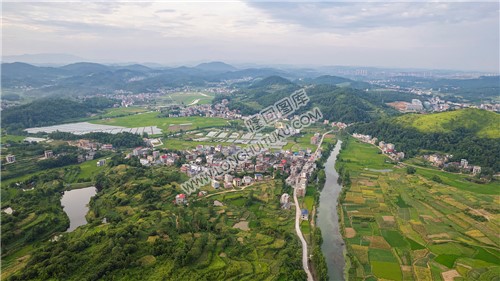 乐荷村，乐居田与荷叶合并