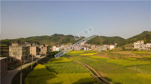 石笋寨,一座像春笋的石山!