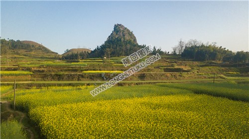 石笋寨,一座像春笋的石山!