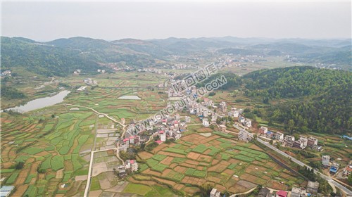 石岭村