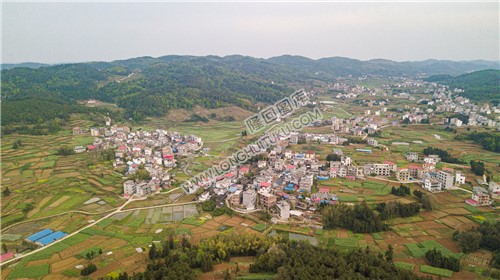 田坝村