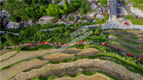 白水洞花瑶婚俗文化