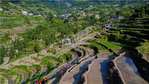 白水洞花瑶婚俗文化