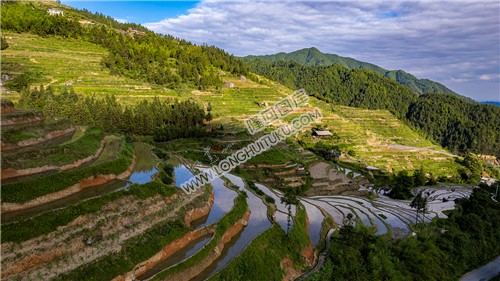 白水洞梯田