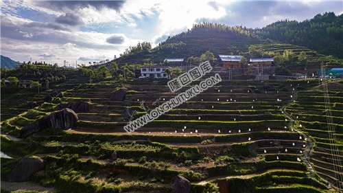 白水洞梯田