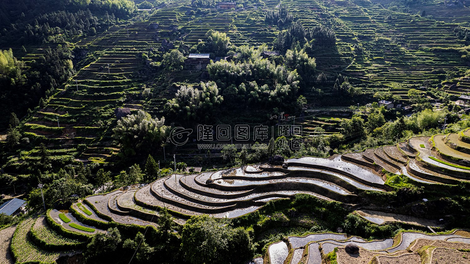 白水洞梯田