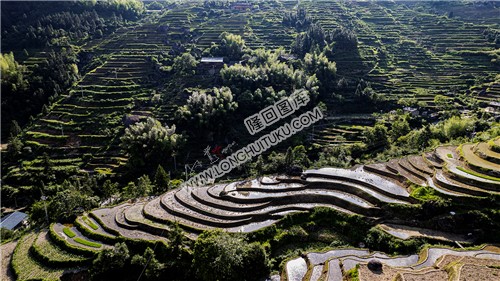 白水洞梯田