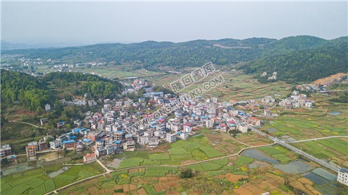西坪村