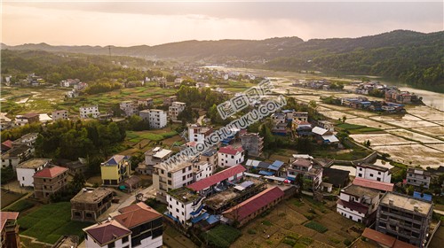 龙洲村