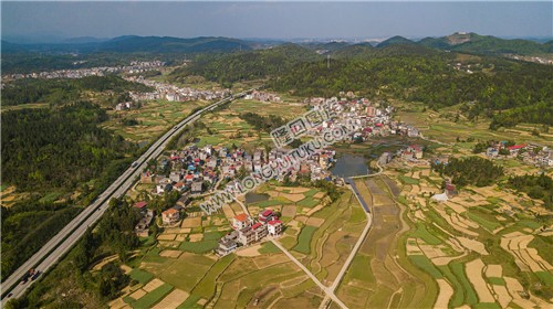 狮子山村
