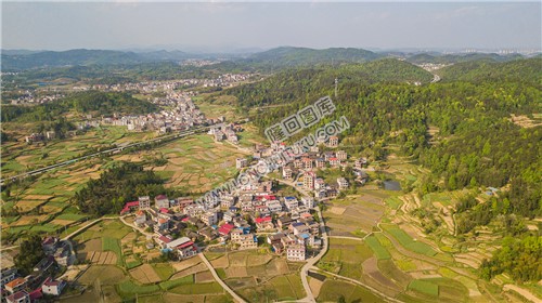 狮子山村
