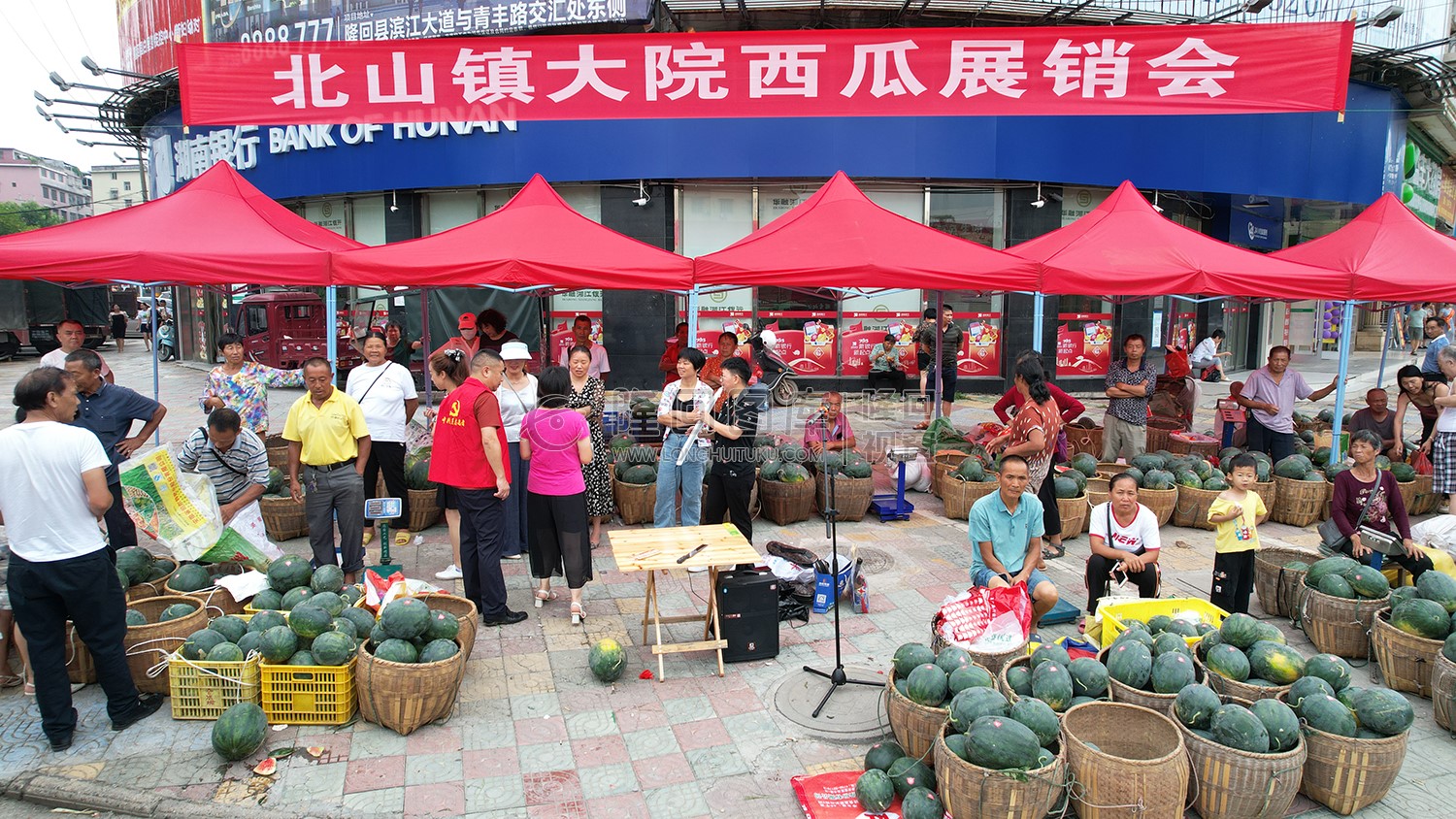 北山镇大院西瓜展销会