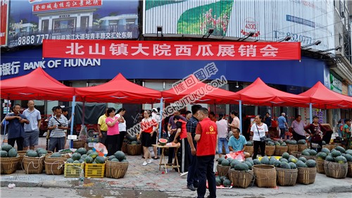 北山镇大院西瓜展销会