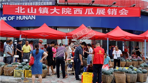 北山镇大院西瓜展销会