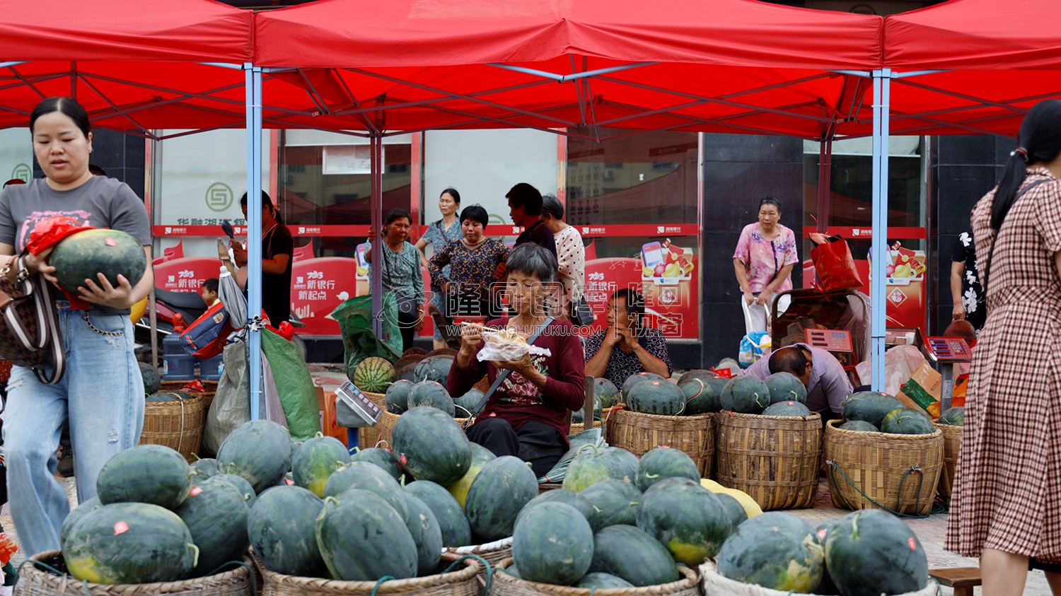 北山镇大院西瓜展销会