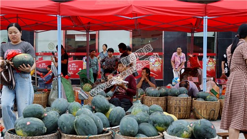 北山镇大院西瓜展销会