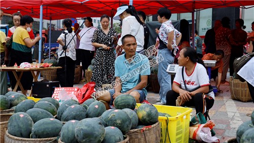 北山镇大院西瓜展销会