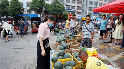 北山镇大院西瓜展销会