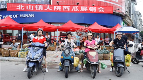 北山镇大院西瓜展销会