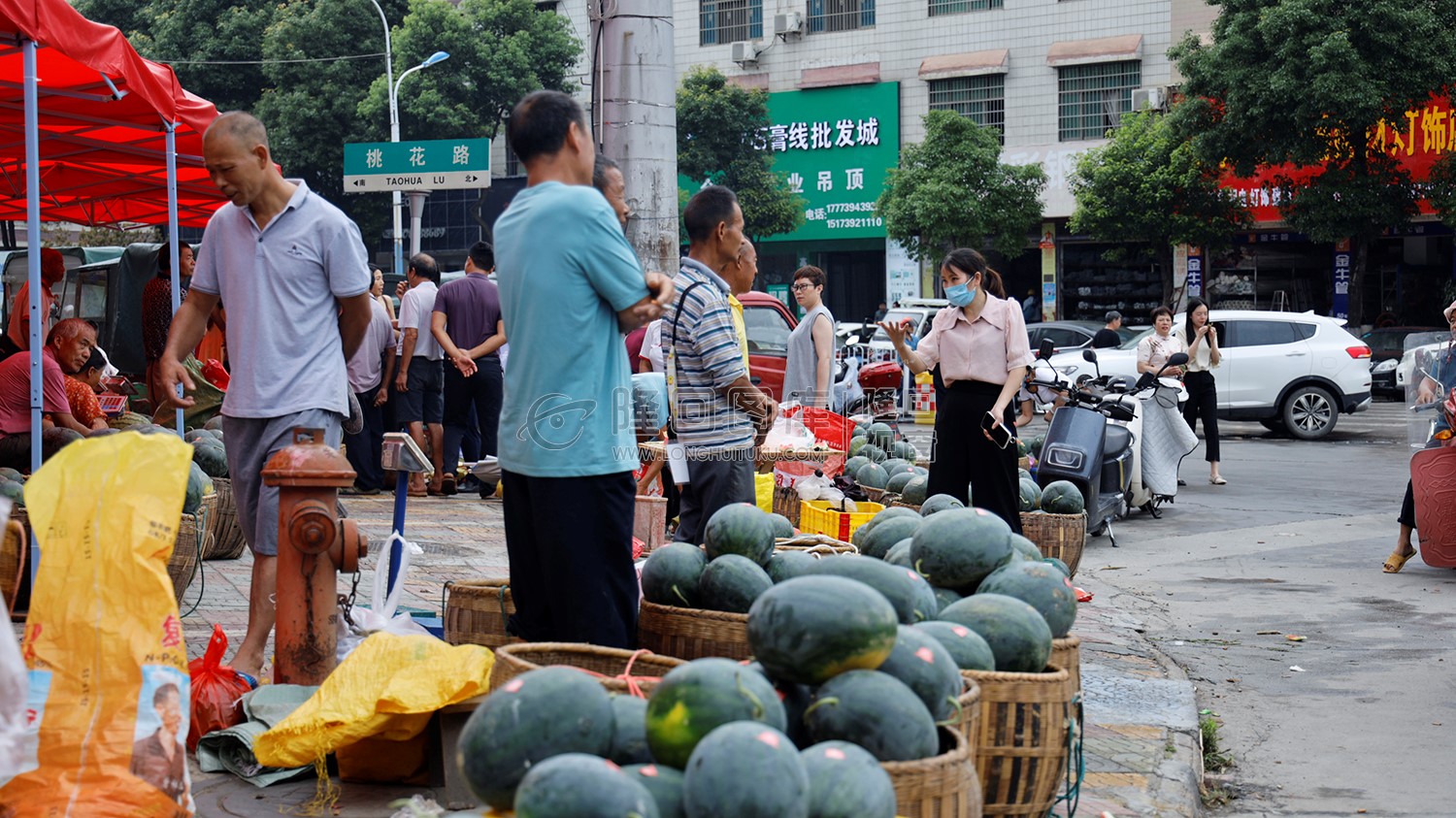 北山镇大院西瓜展销会