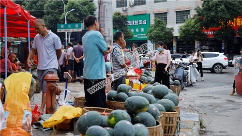 北山镇大院西瓜展销会