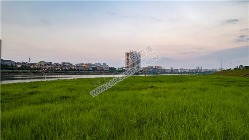 隆回碧桂园河岸草坪