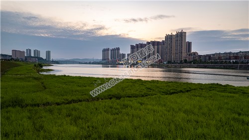 碧桂园河岸草坪夕阳风光
