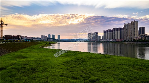 碧桂园河岸草坪夕阳风光