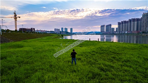 碧桂园河岸草坪自拍