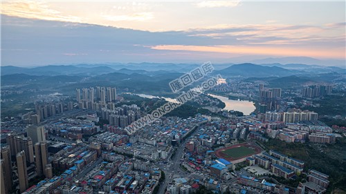 九龙学校总站区域