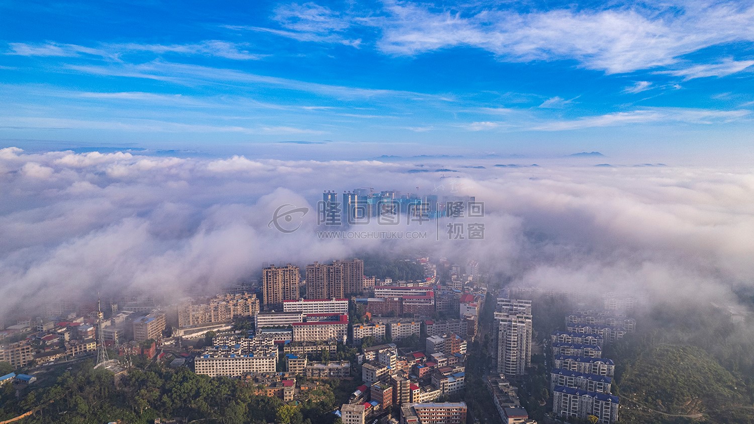 百龙观天下楚云学校方向