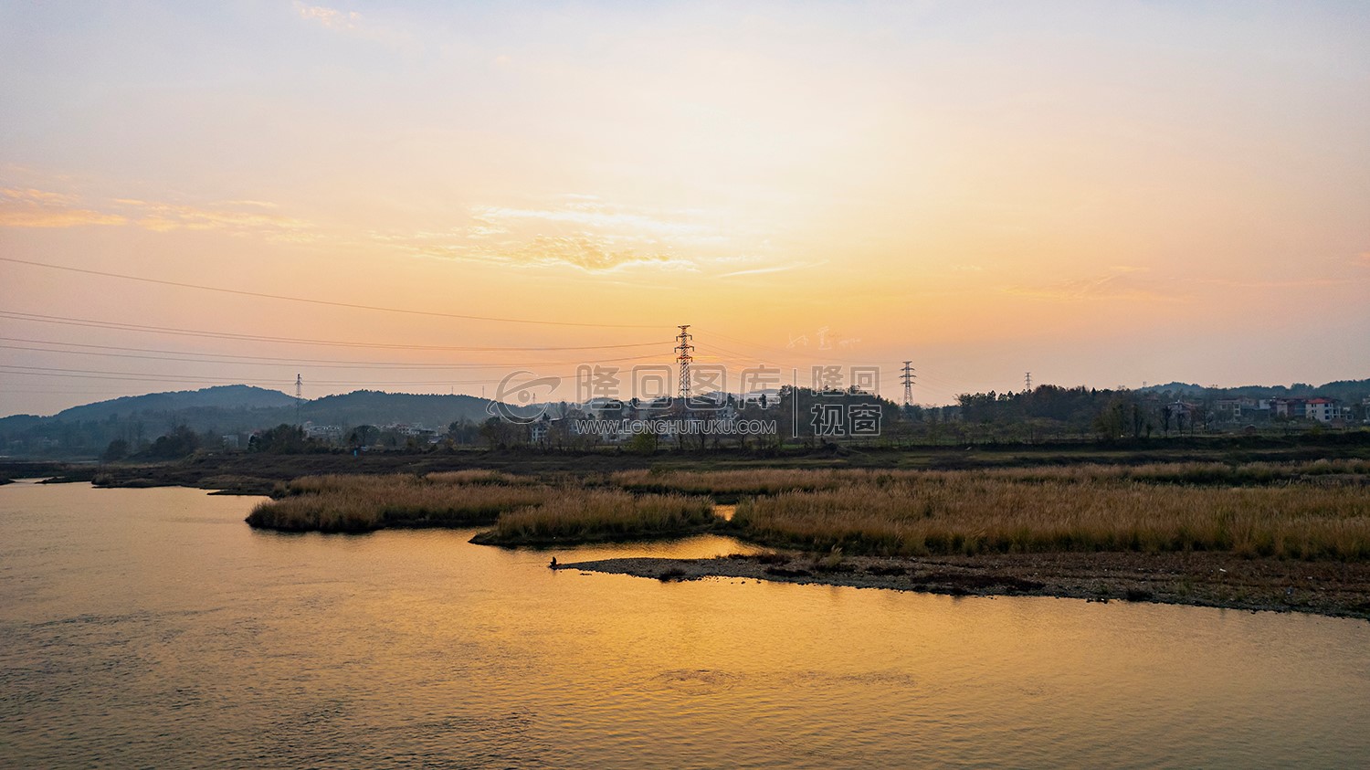 黄花洲的芦苇荡